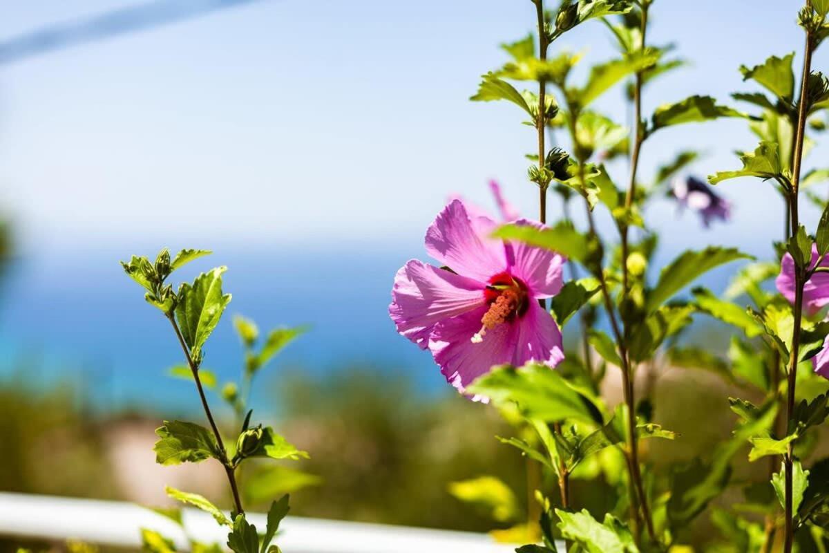 カラマタ Aigli Fully Equipped Getaway - Seaview Lux Retreatヴィラ エクステリア 写真